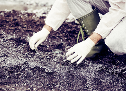 Analysis and Comment on the Environmental Site Assessment